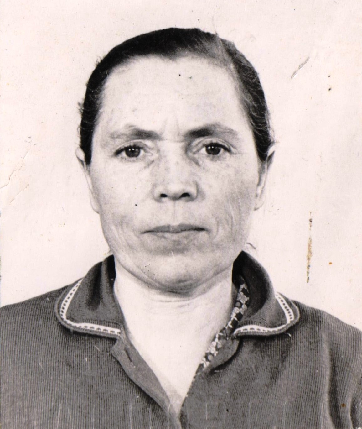 МЕШКОВА А.Е..jpeg